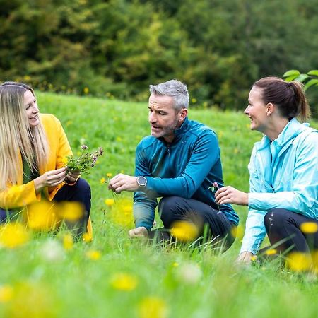 Gesundheits- & Wellnessresort Salzerbad Kleinzell Eksteriør billede